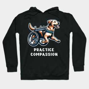 Inspirational Dog T-Shirt, Practice Compassion, Wheelchair Dog Tee, Animal Lover Gift Shirt, Pet Advocacy apparel Hoodie